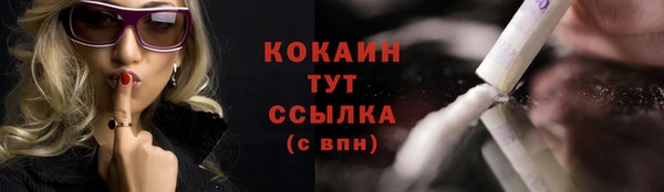 прущий лед Михайлов
