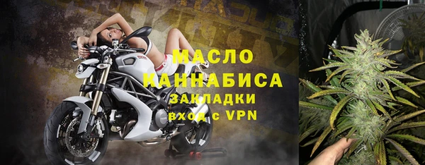 гидра Михайловка
