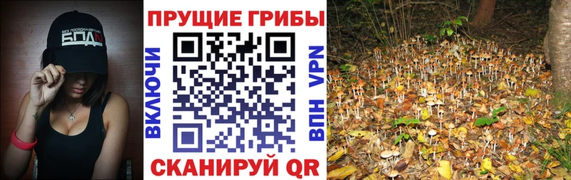 Псилоцибиновые грибы ЛСД  Купить  Скопин 